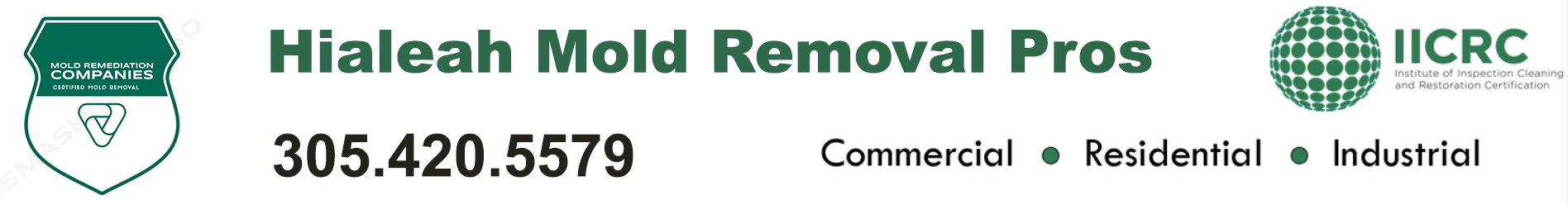 Hialeah Mold Removal Pros
