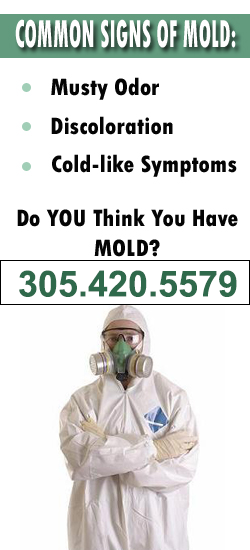 Hialeah Mold Remediation Contractor